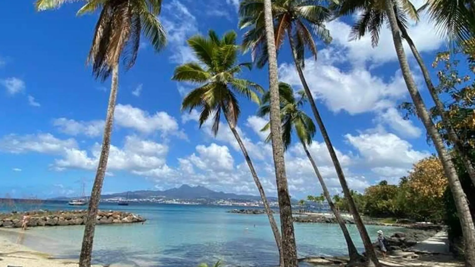 Appartement Moderne 2 Pieces Avec Parking Et Proche Plage - Fr-1-765-11 Les Trois-Ilets 0*,